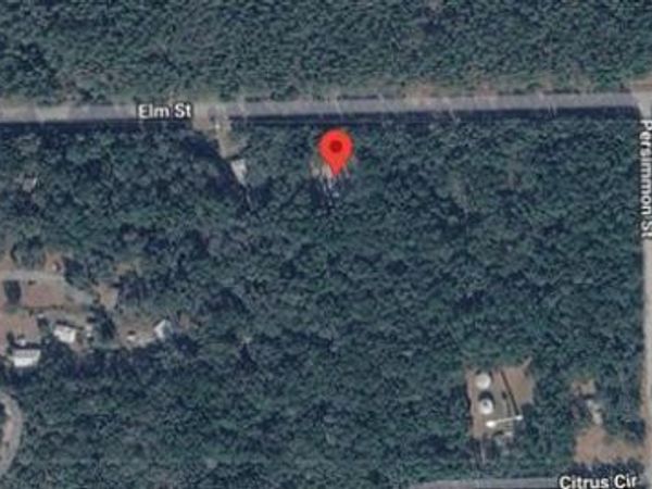 869 COUNTY ROAD 308B, Pomona Park, FL 32181