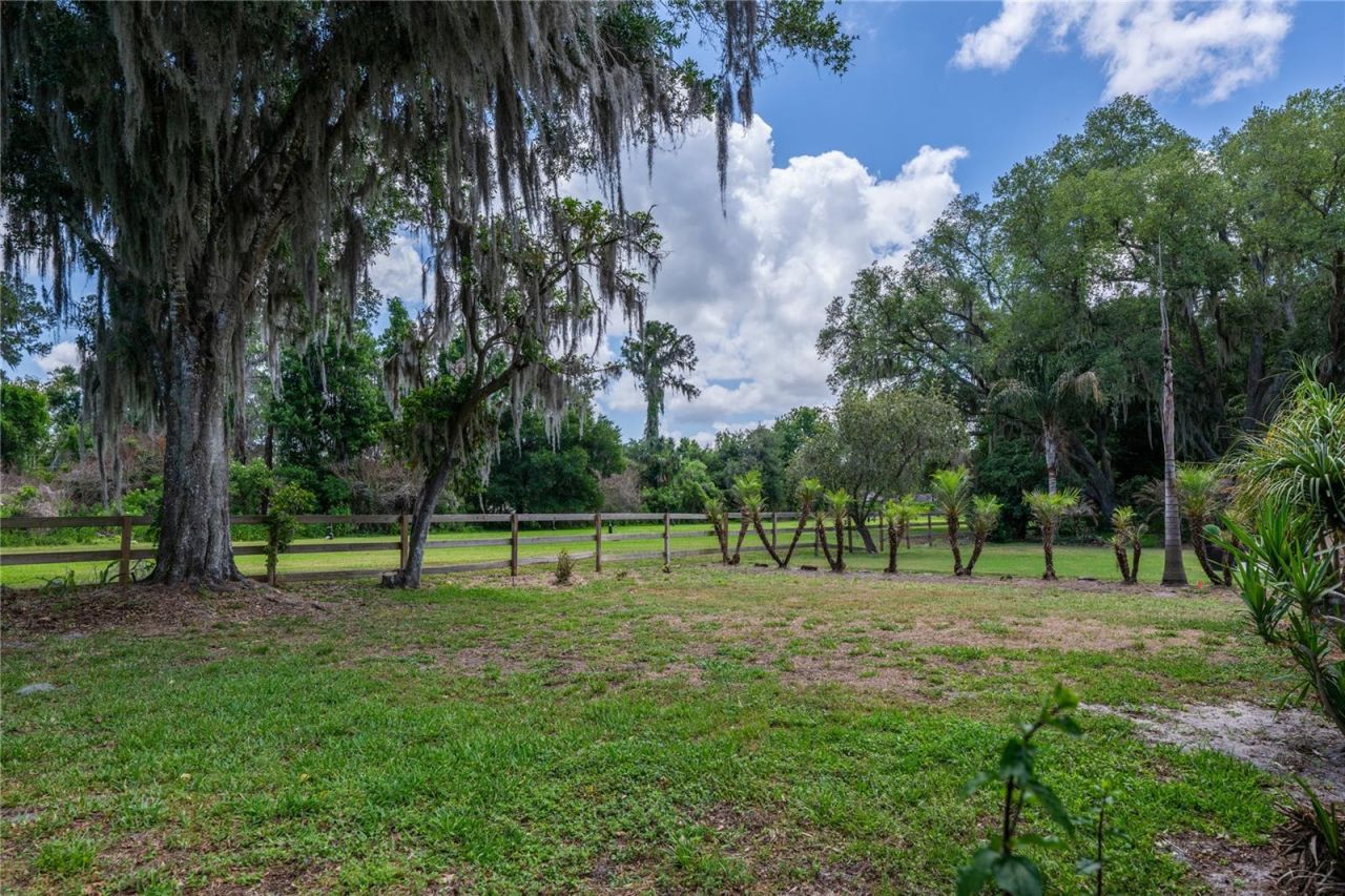 109 Waterwood Drive, Yalaha, FL 34797 Photo