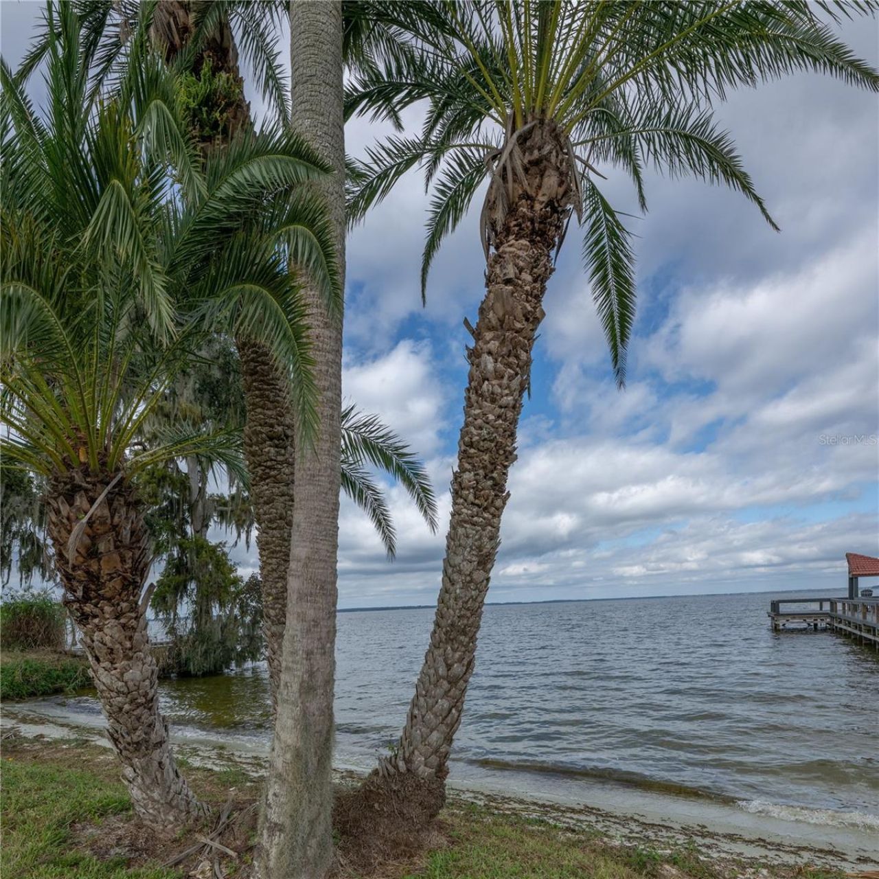 109 Waterwood Drive, Yalaha, FL 34797 Photo