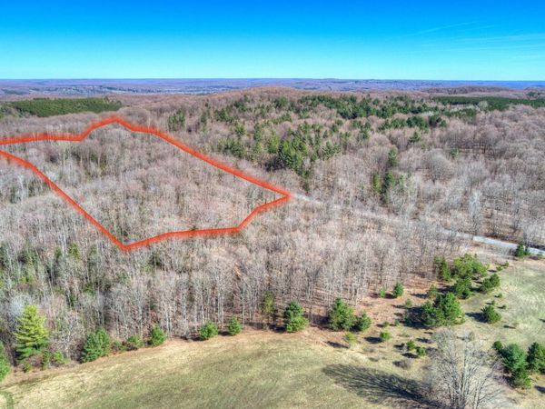Honey Hollow Road, Bellaire, MI 49615