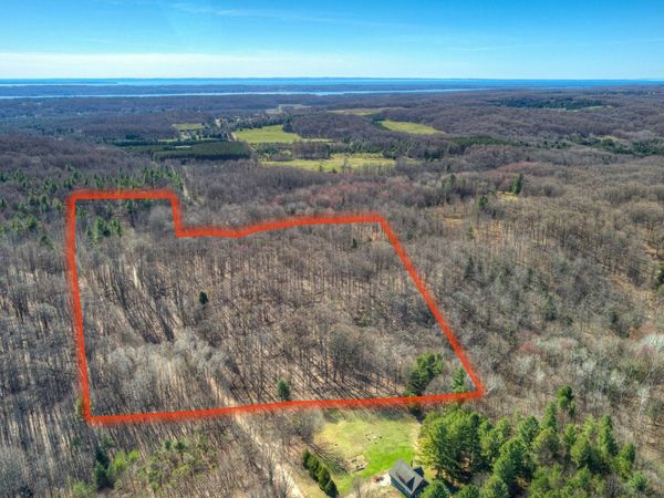 Orchard Hill Road, Bellaire, MI 49615