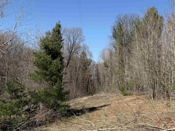 Orchard Hill Road, Bellaire, MI 49615