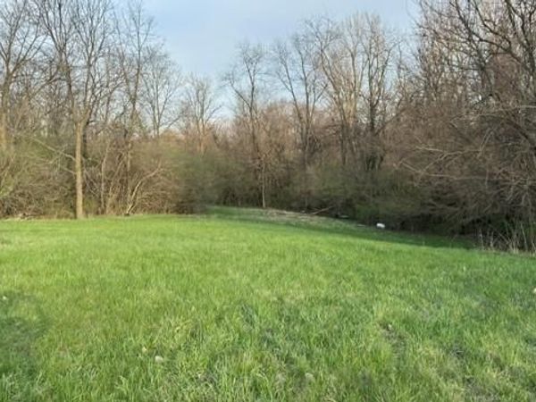 56 Willow Street, Mechanicsburg, OH 43044