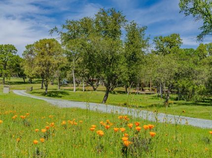 10690 White Oak Rd, Plymouth, CA 95669 Photo
