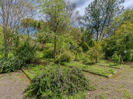 10690 White Oak Rd, Plymouth, CA 95669 Photo
