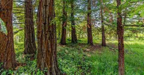 10690 White Oak Rd, Plymouth, CA 95669 Photo