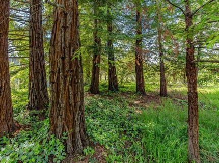 10690 White Oak Rd, Plymouth, CA 95669 Photo