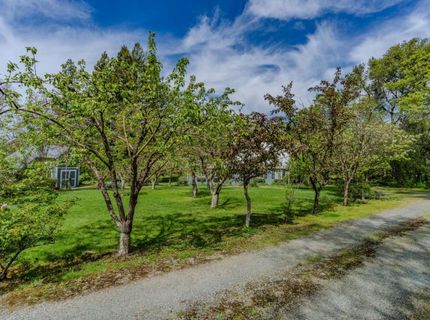 10690 White Oak Rd, Plymouth, CA 95669 Photo