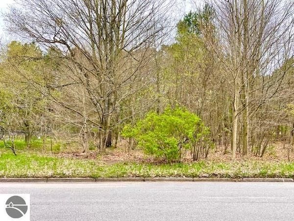 Brook Avenue, Kaleva, MI 49645