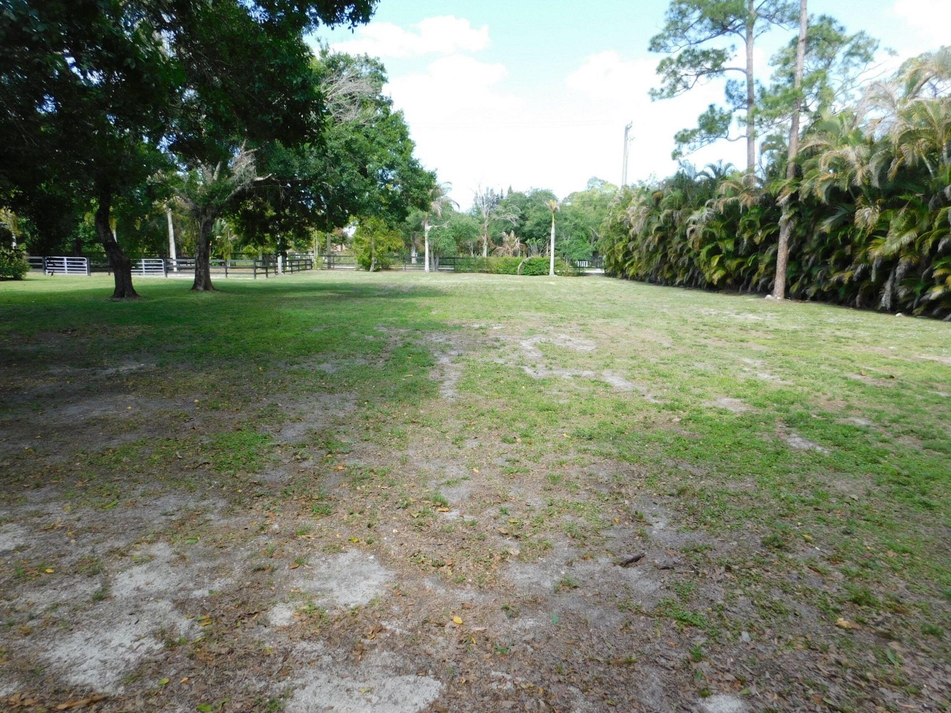 14964 Snail Trail, Loxahatchee Groves, FL 33470 Photo