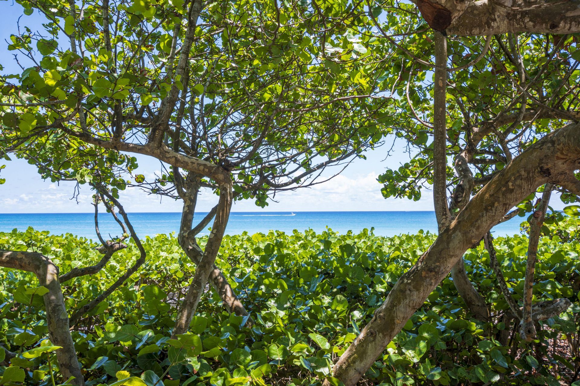 226 Moccasin Trail W, Jupiter, FL 33458 Photo