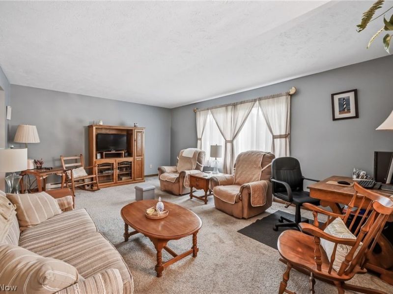 42866 Apples Way Drive, Leetonia, OH 44431 Photo 4