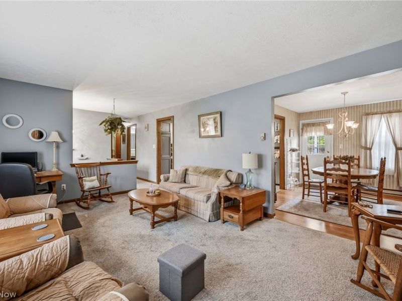 42866 Apples Way Drive, Leetonia, OH 44431 Photo 5