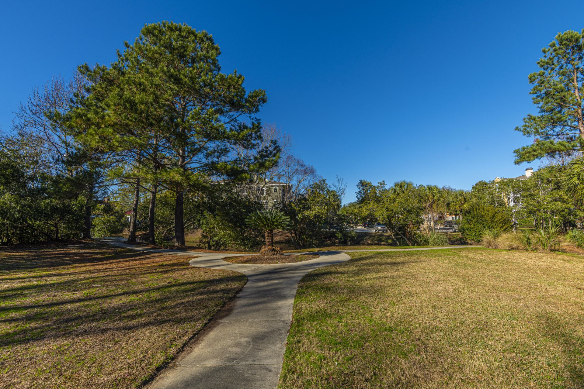 1814 Telfair Way Photo 41