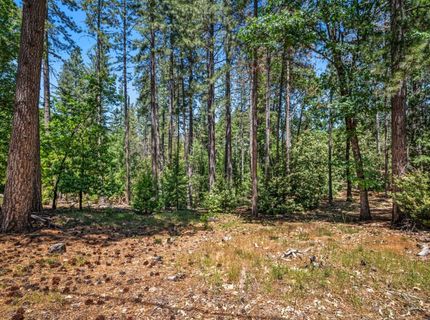 6324 Dickinson Rd, Placerville, CA 95667 Photo