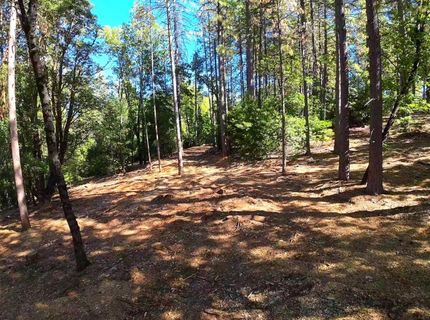 6324 Dickinson Rd, Placerville, CA 95667 Photo