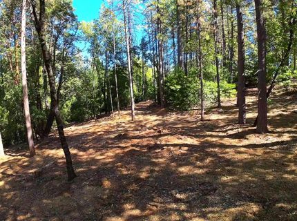 6324 Dickinson Rd, Placerville, CA 95667 Photo