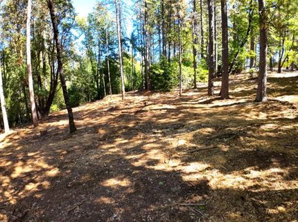 6324 Dickinson Rd, Placerville, CA 95667 Photo