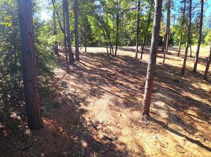 6324 Dickinson Rd, Placerville, CA 95667 Photo