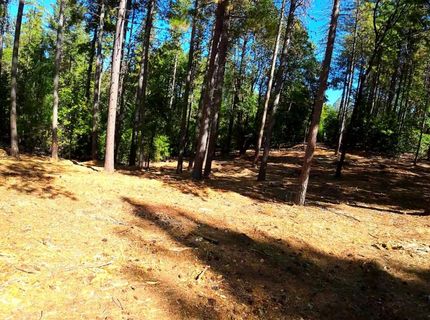 6324 Dickinson Rd, Placerville, CA 95667 Photo