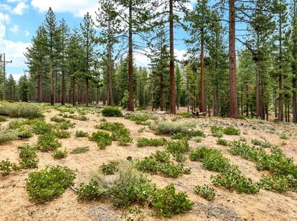 2121 Marshall Trail, South Lake Tahoe, CA 96150 Photo