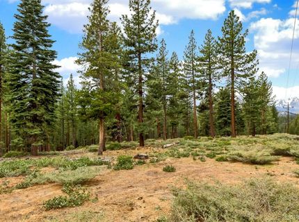 2121 Marshall Trail, South Lake Tahoe, CA 96150 Photo