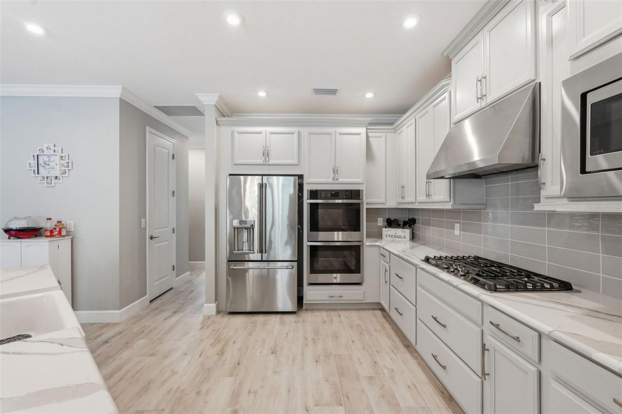 33805 Castaway Loop, Wesley Chapel, FL 33543 Photo