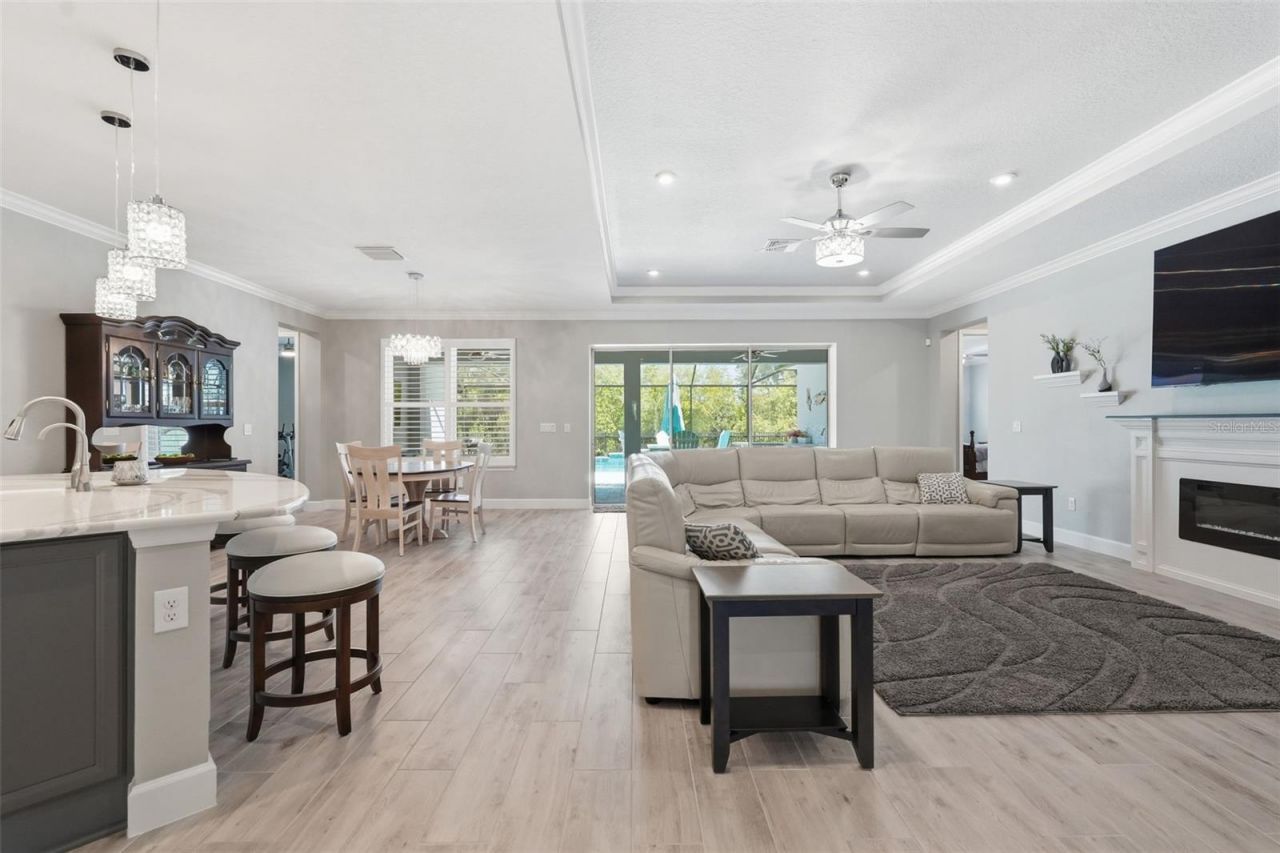 33805 Castaway Loop, Wesley Chapel, FL 33543 Photo