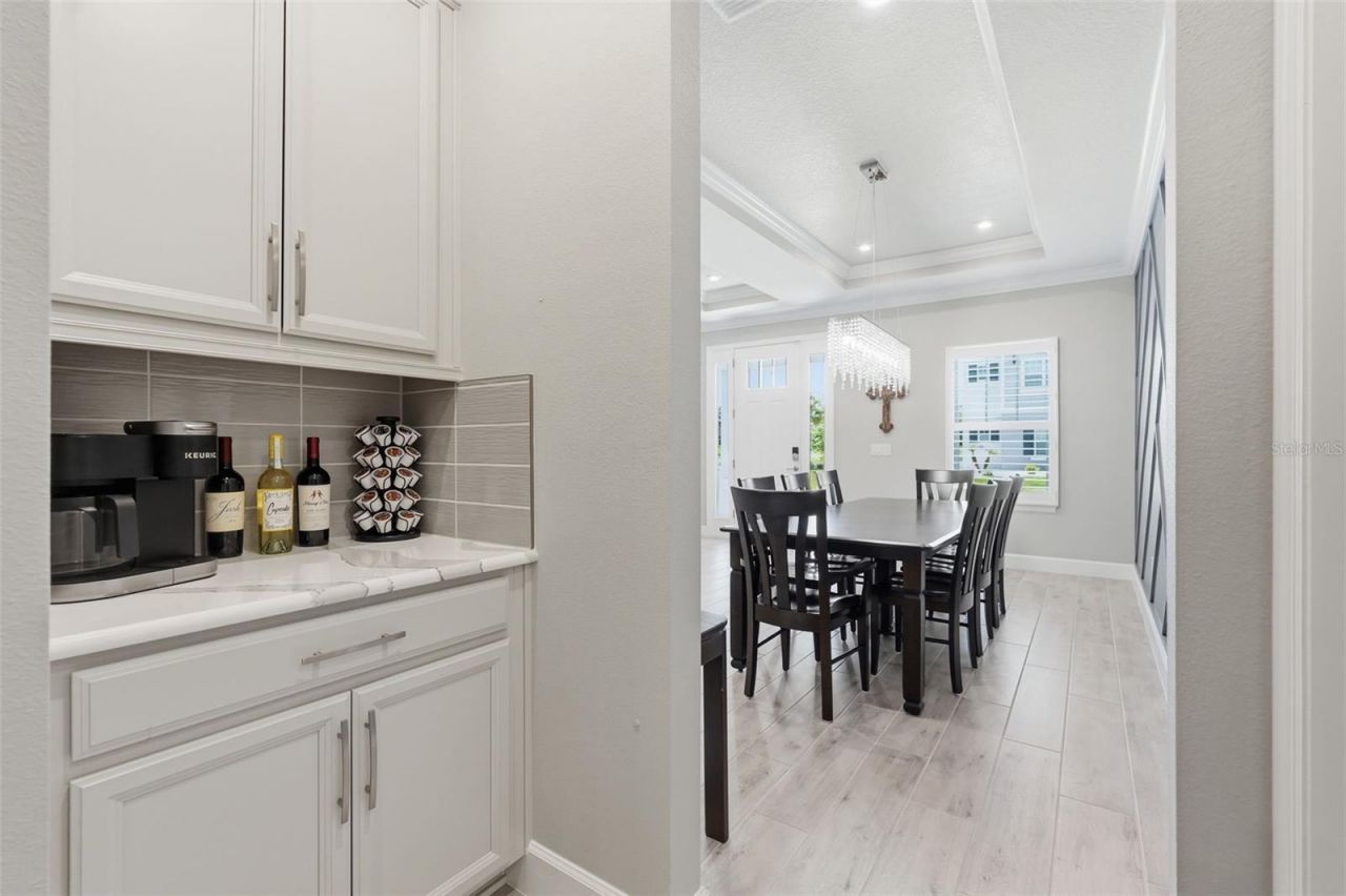 33805 Castaway Loop, Wesley Chapel, FL 33543 Photo