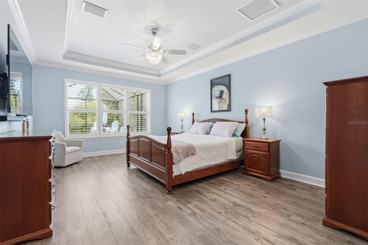 33805 Castaway Loop, Wesley Chapel, FL 33543 Photo