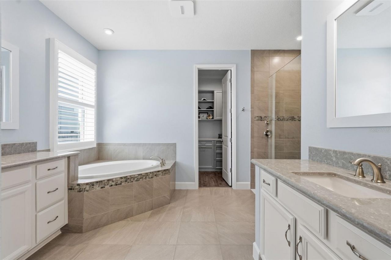 33805 Castaway Loop, Wesley Chapel, FL 33543 Photo