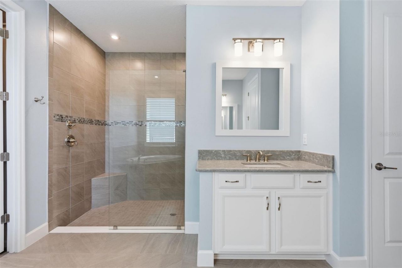 33805 Castaway Loop, Wesley Chapel, FL 33543 Photo