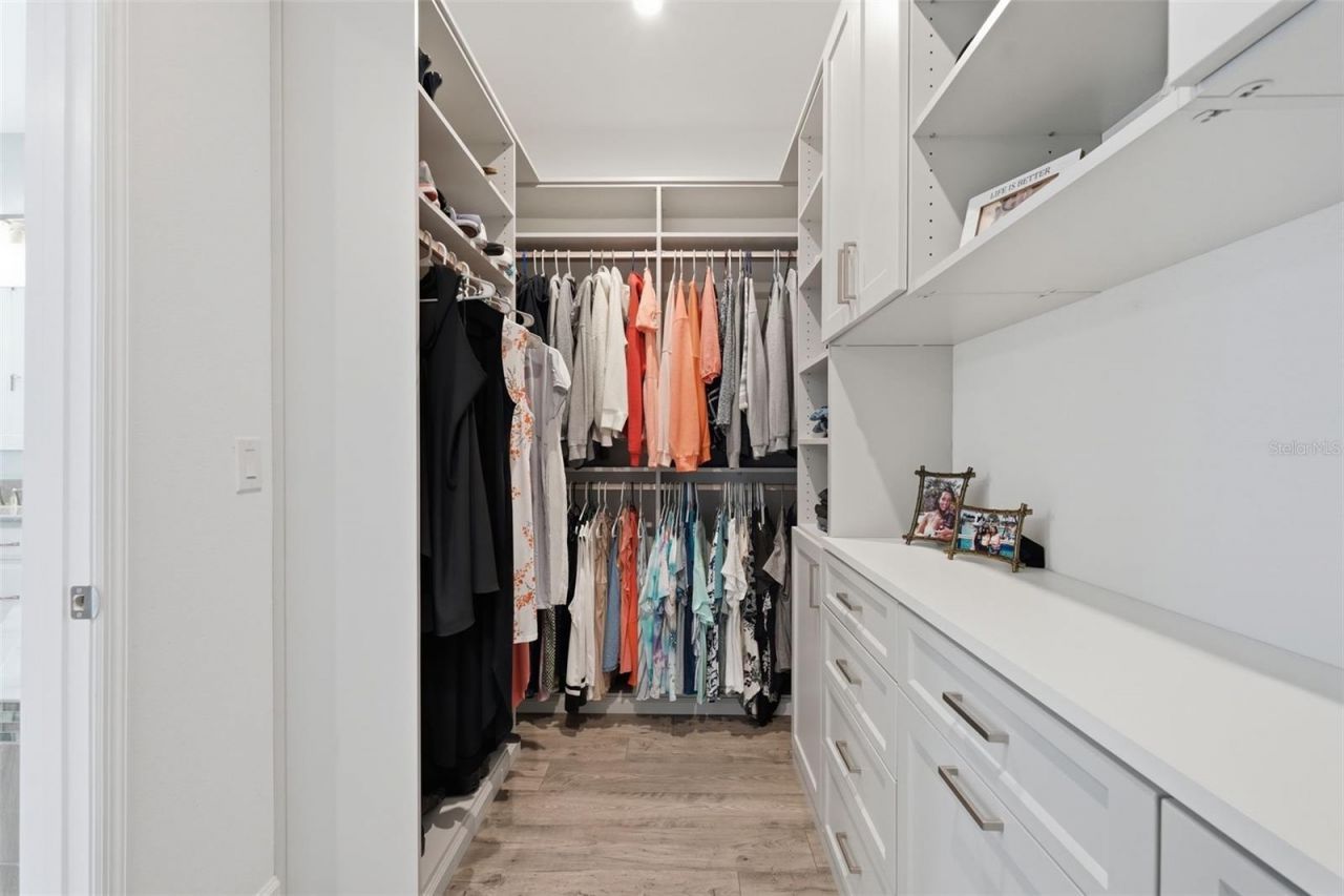 33805 Castaway Loop, Wesley Chapel, FL 33543 Photo