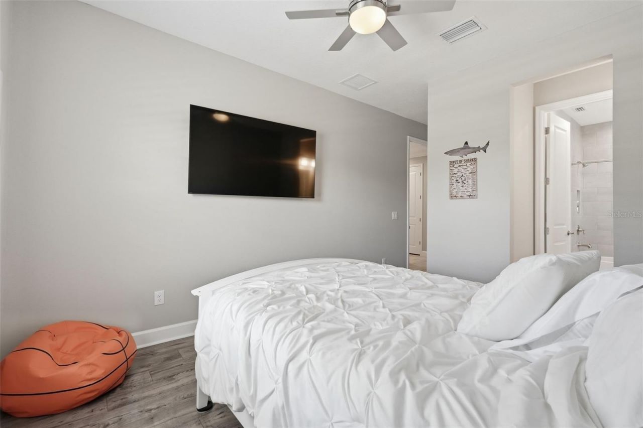 33805 Castaway Loop, Wesley Chapel, FL 33543 Photo