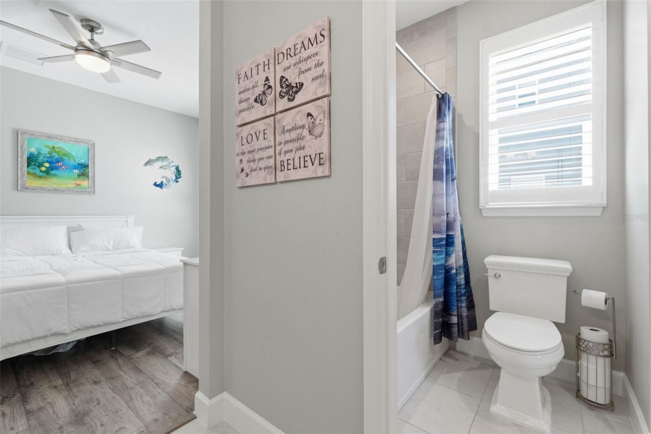 33805 Castaway Loop, Wesley Chapel, FL 33543 Photo
