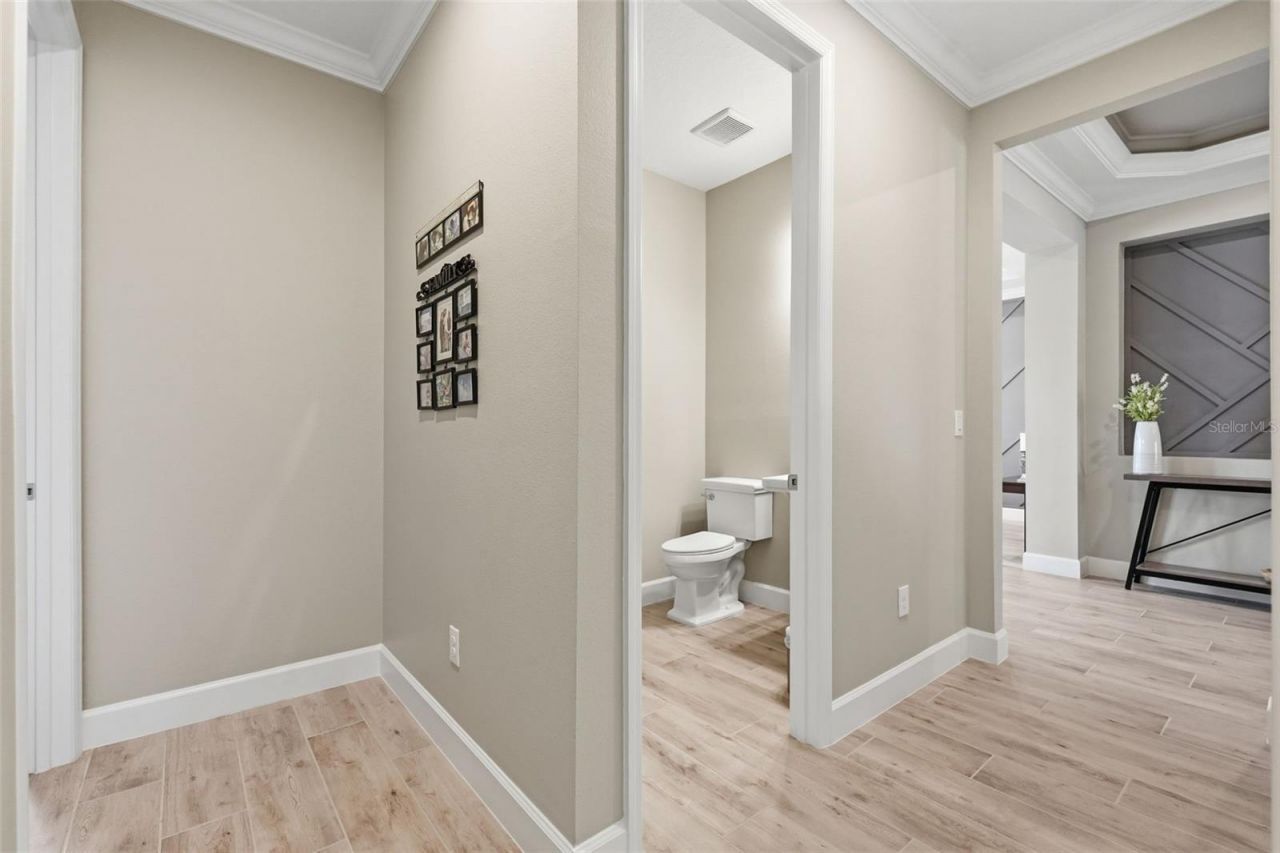 33805 Castaway Loop, Wesley Chapel, FL 33543 Photo