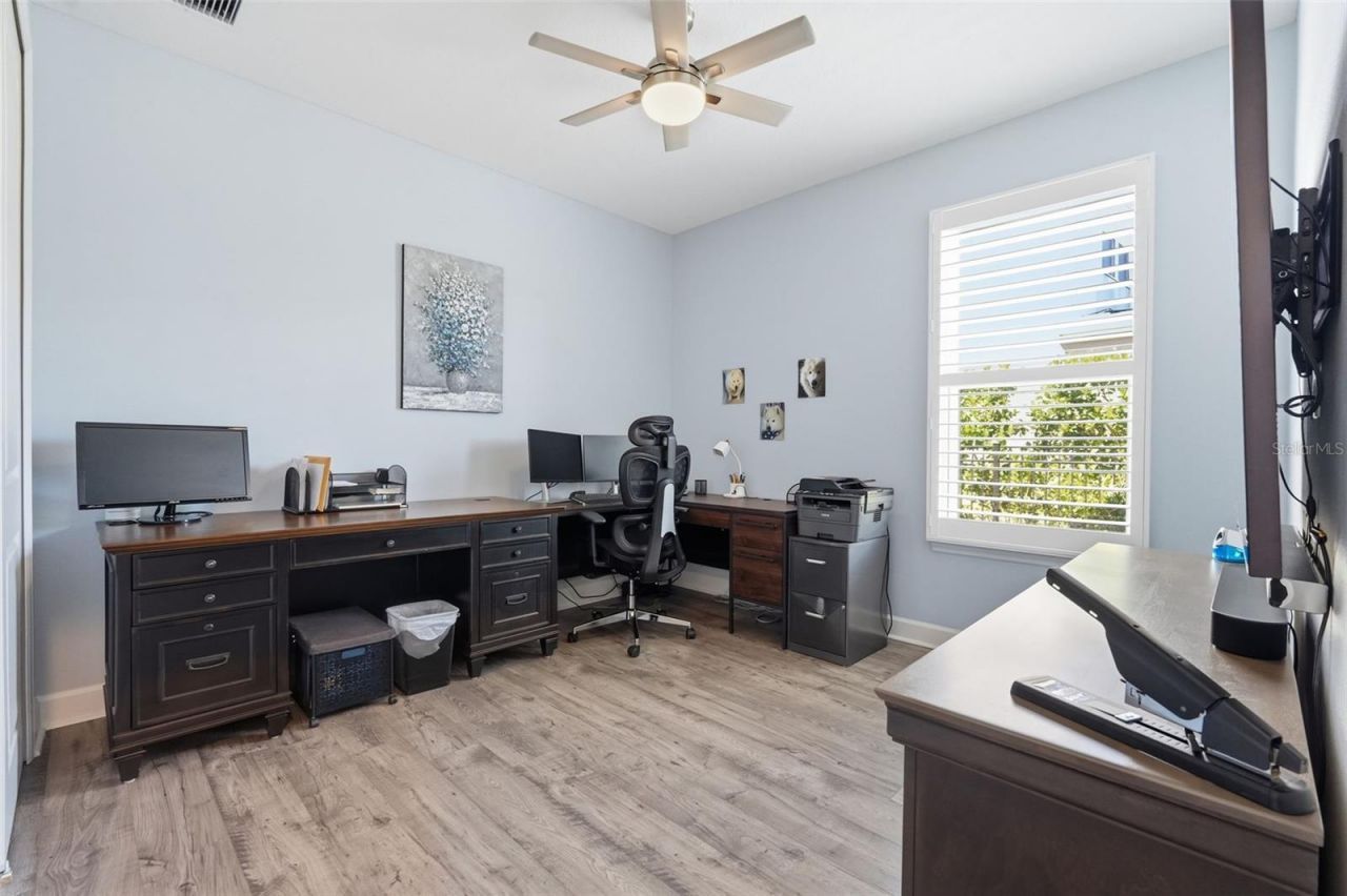 33805 Castaway Loop, Wesley Chapel, FL 33543 Photo