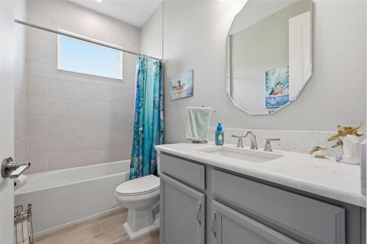 33805 Castaway Loop, Wesley Chapel, FL 33543 Photo
