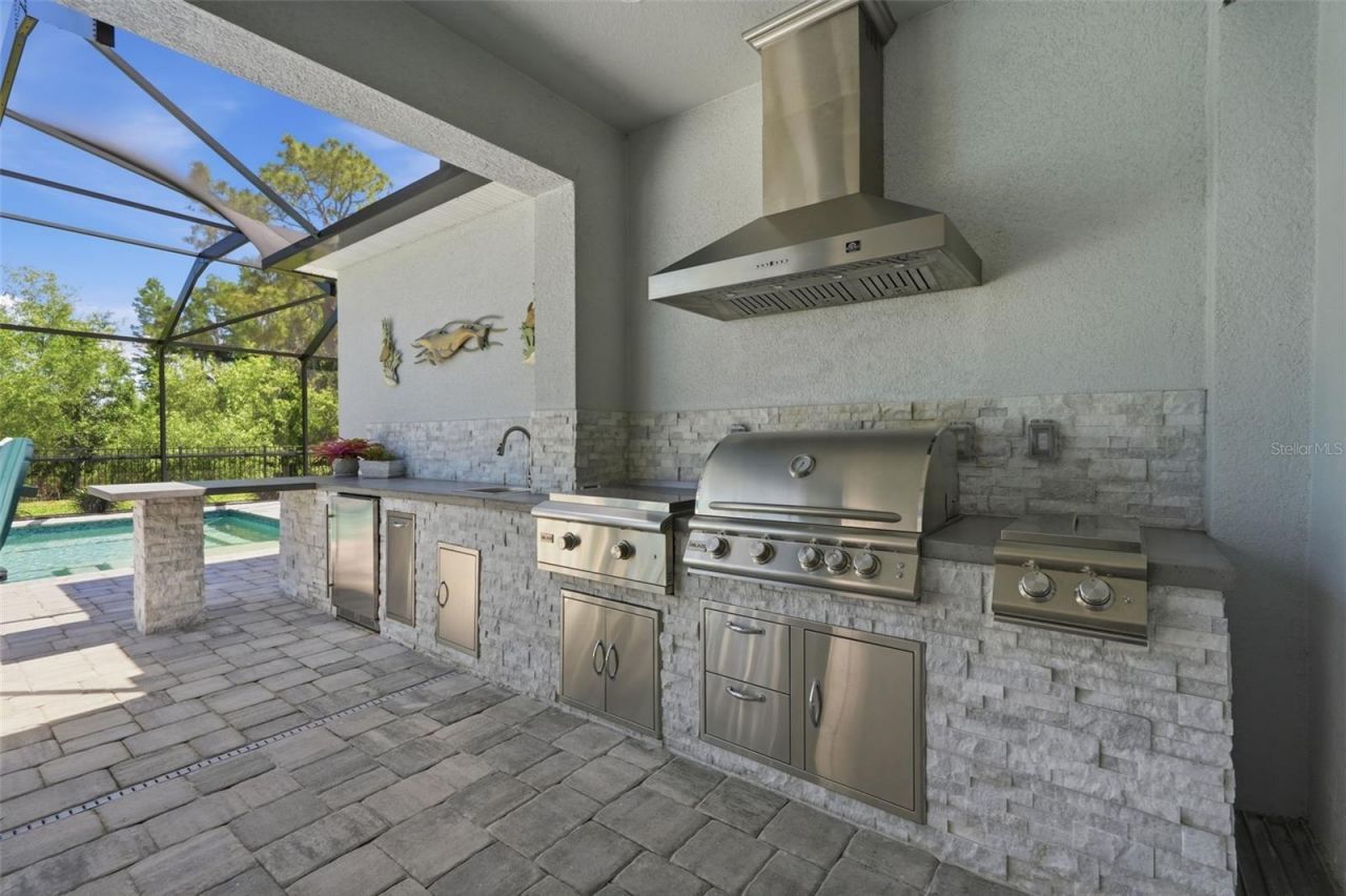 33805 Castaway Loop, Wesley Chapel, FL 33543 Photo