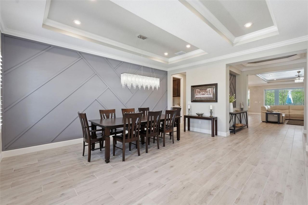 33805 Castaway Loop, Wesley Chapel, FL 33543 Photo