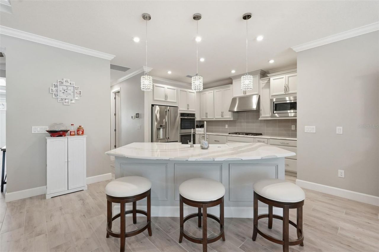 33805 Castaway Loop, Wesley Chapel, FL 33543 Photo