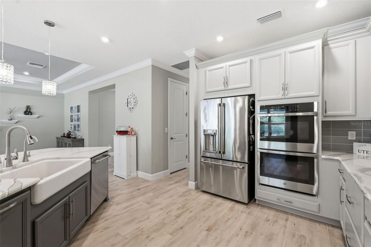 33805 Castaway Loop, Wesley Chapel, FL 33543 Photo