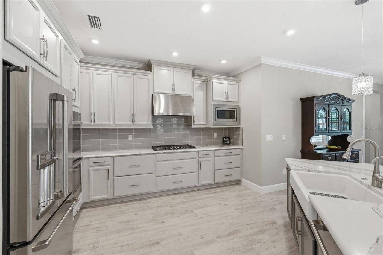 33805 Castaway Loop, Wesley Chapel, FL 33543 Photo