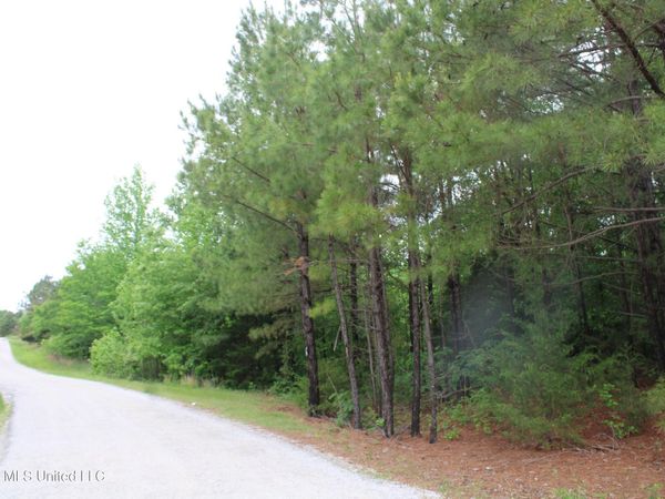 806 Woods Road, Byhalia, MS 38611