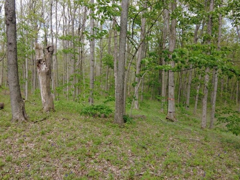 ac Wilma Lane, Sprigg Twp, OH 45144 Photo 10