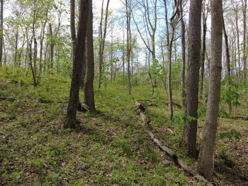 ac Wilma Lane, Sprigg Twp, OH 45144 Photo 13