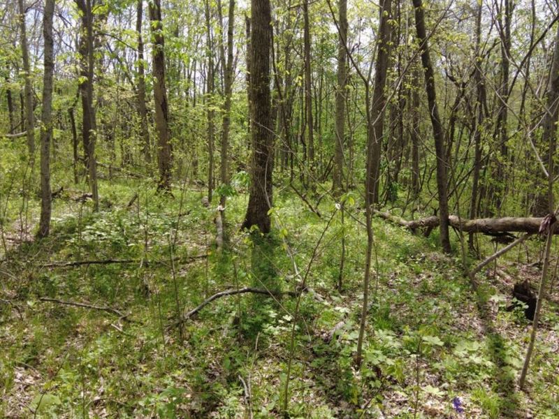 ac Wilma Lane, Sprigg Twp, OH 45144 Photo 16