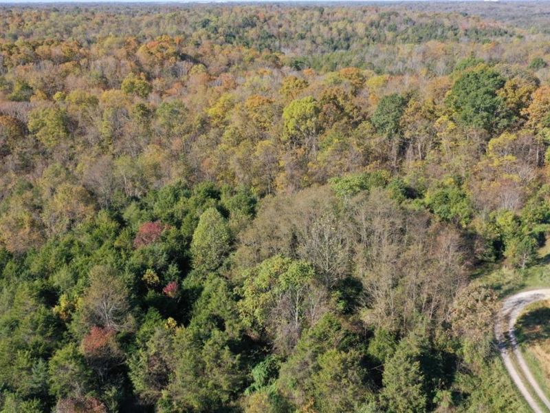 ac Wilma Lane, Sprigg Twp, OH 45144 Photo 18