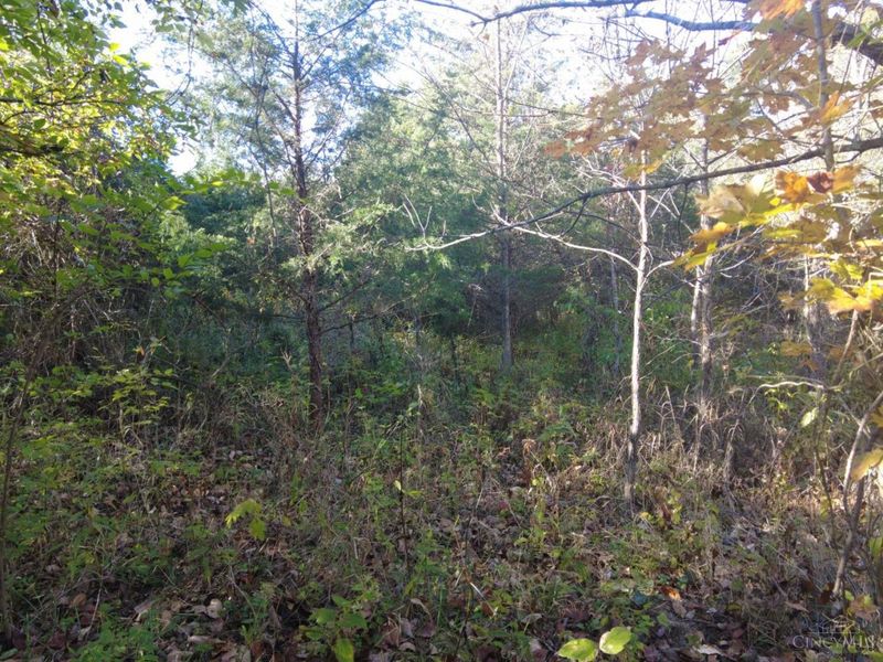 ac Wilma Lane, Sprigg Twp, OH 45144 Photo 22