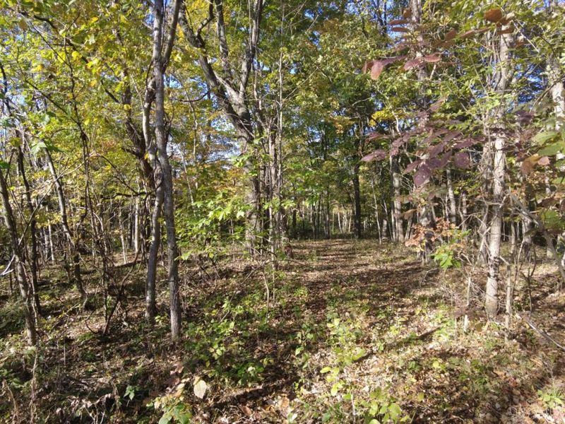 ac Wilma Lane, Sprigg Twp, OH 45144 Photo 24